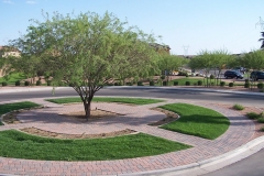 Paver-Round-About